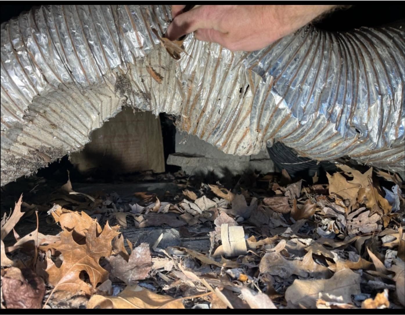 Shredded silver duct insulation under a crawlspace, with leaves and debris on the ground