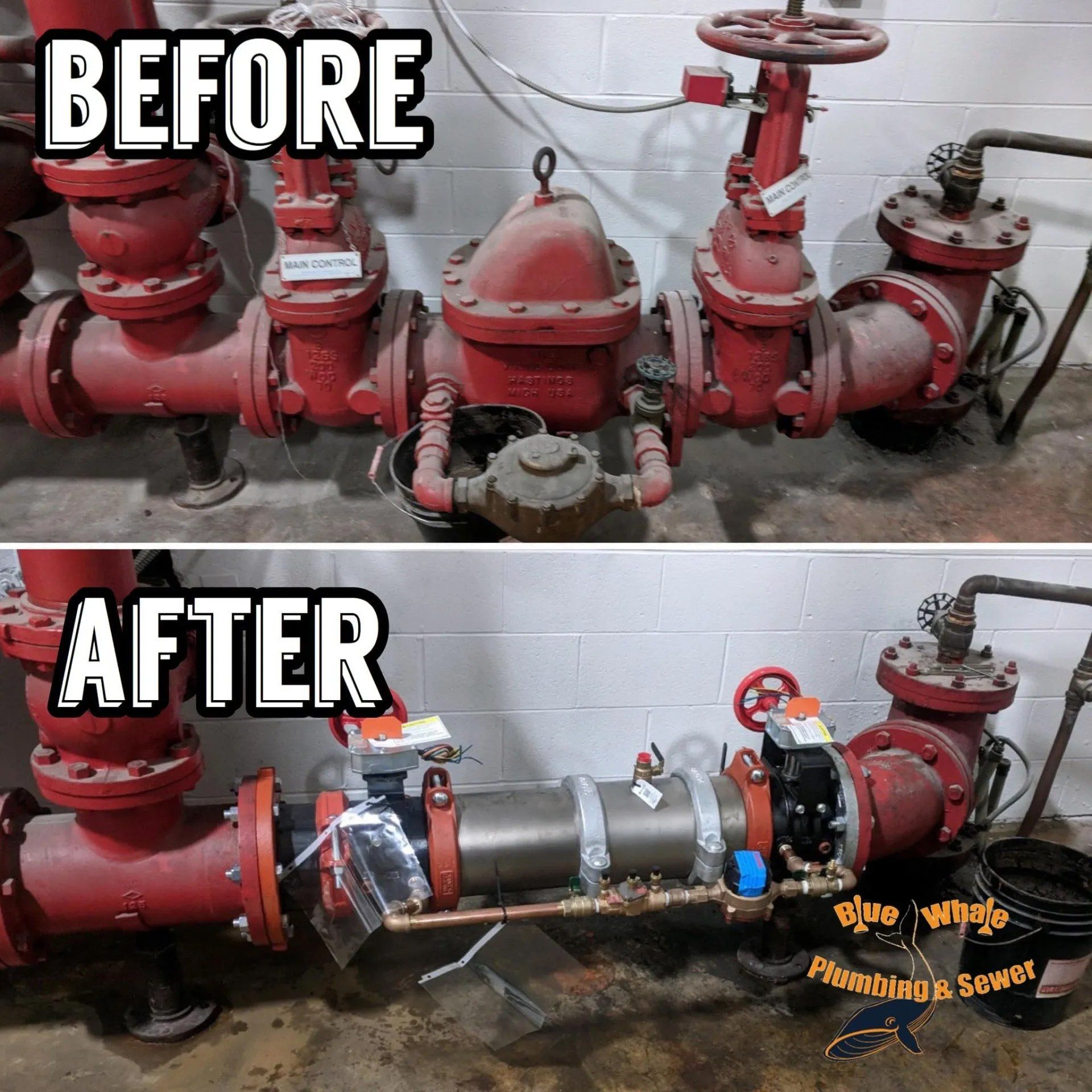 Backflow services