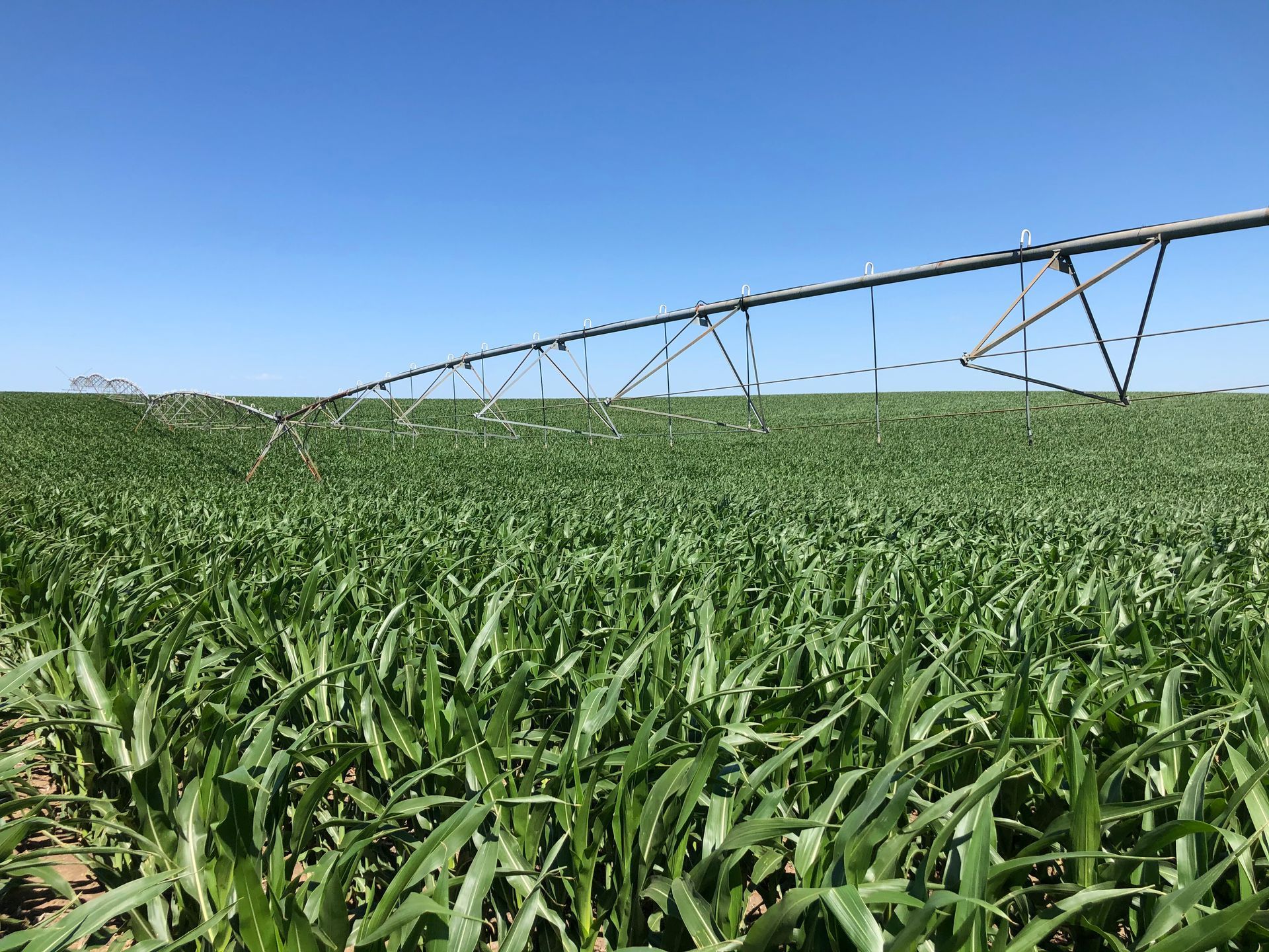 A large field of green grass with a irrigation system in the background.