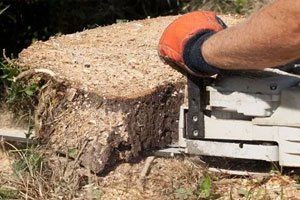 Stump Grinding