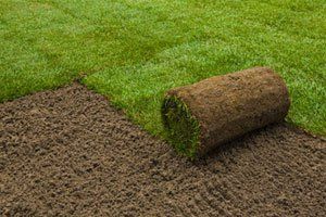 Landscaping Work