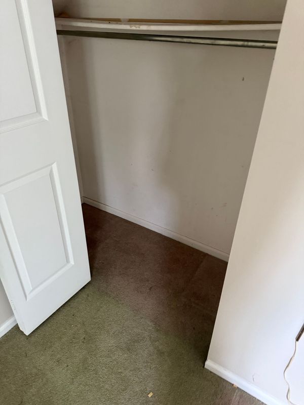 Empty closet with white walls, a clothes rod, and green carpet. A white door is partially open.