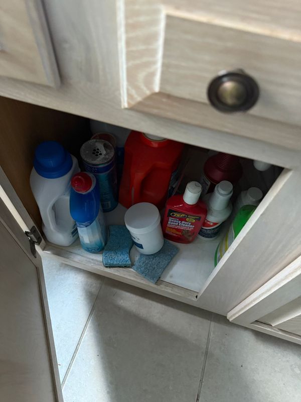 Cabinet under a sink, containing cleaning supplies, including bottles and sponges.