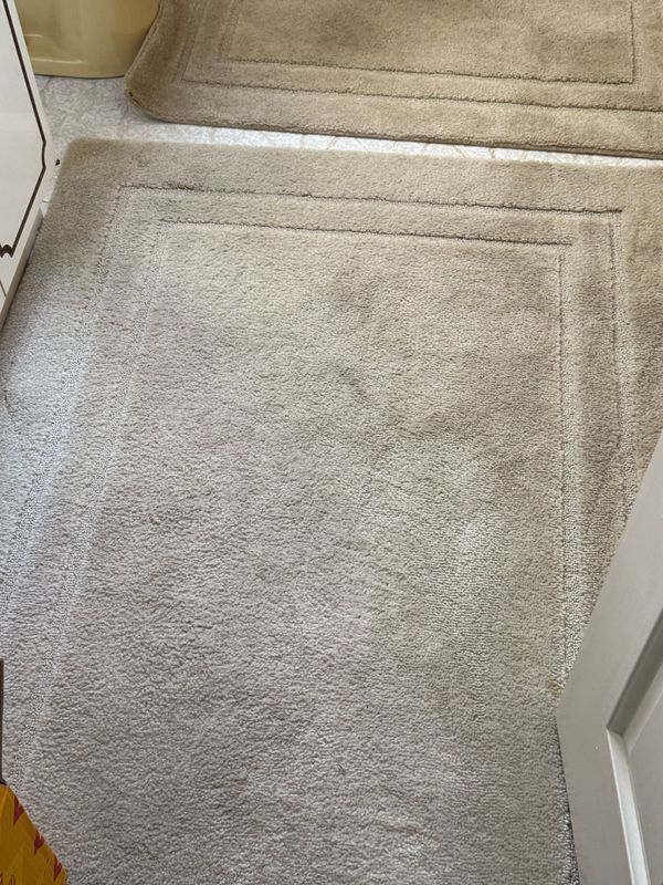 Beige bathroom rugs on a light-colored carpeted floor. One has a decorative border.