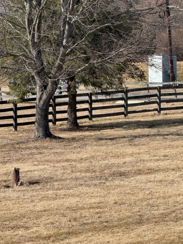 Bare tree in field next to dark fence, small post in foreground, utility box in background.
