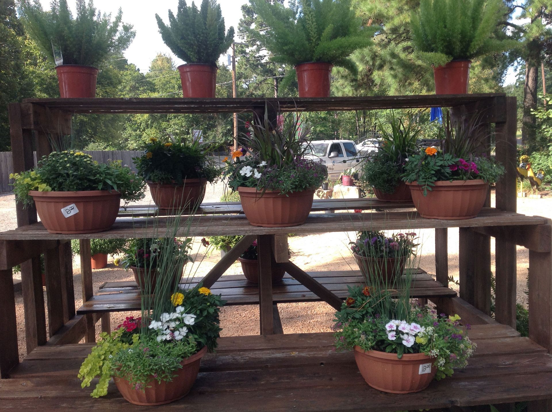 potted-plants-and-flowers