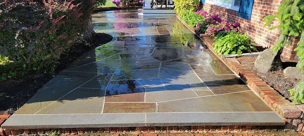 Sunlit wet garden pathway with stone steps, flanked by flowers and shrubs