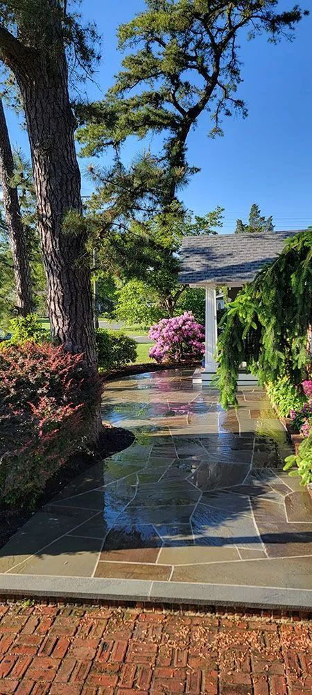 Sunlit garden path with a reflecting pond, flowering shrubs, and a stone gate under trees