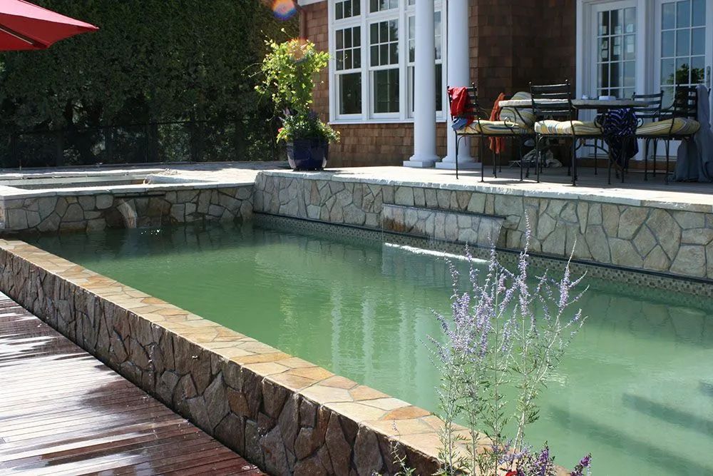 Backyard stone-lined pool beside patio furniture and a house, with green water and flowering plants