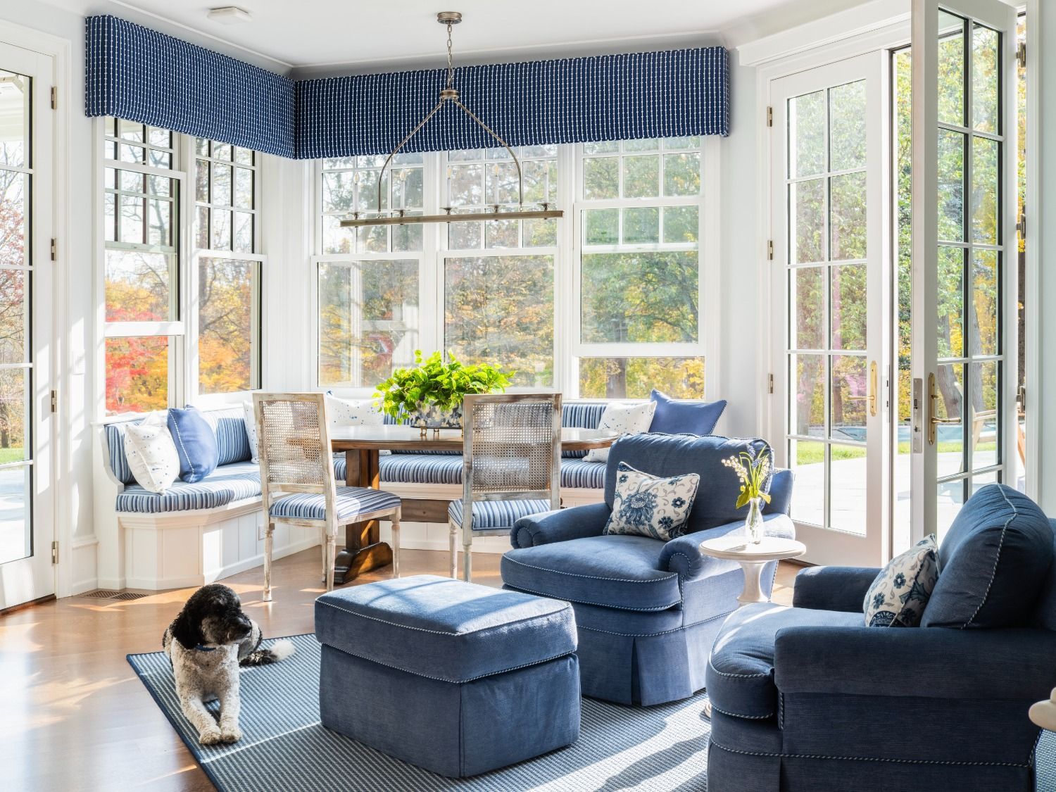 A living room with blue furniture and a dog standing on the floor.