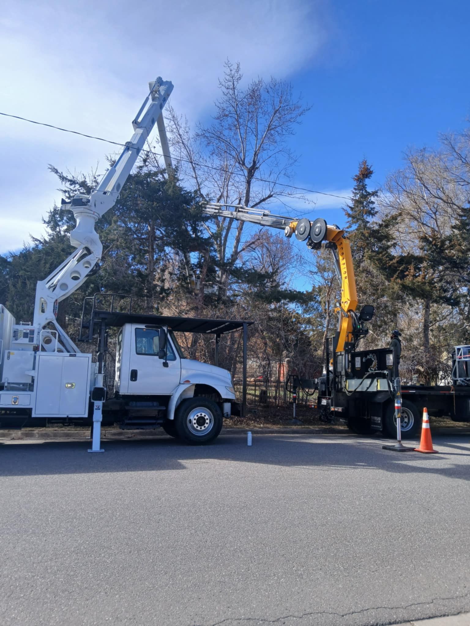 Two utility trucks parked on a roadside with their hydraulic booms extended toward tree branches.