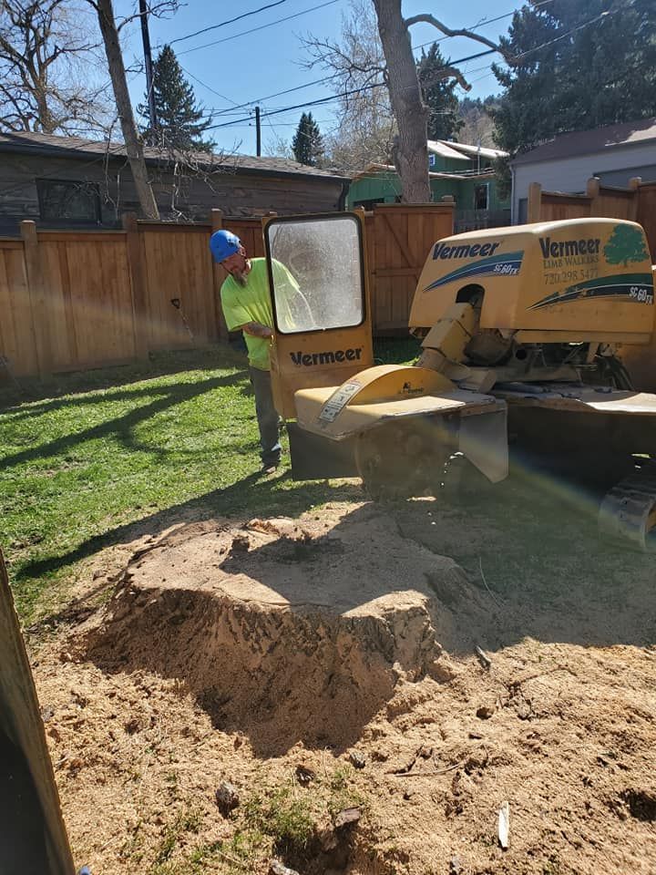 Two workers operating a yellow stump grinder, covered in wood chips, near a house.