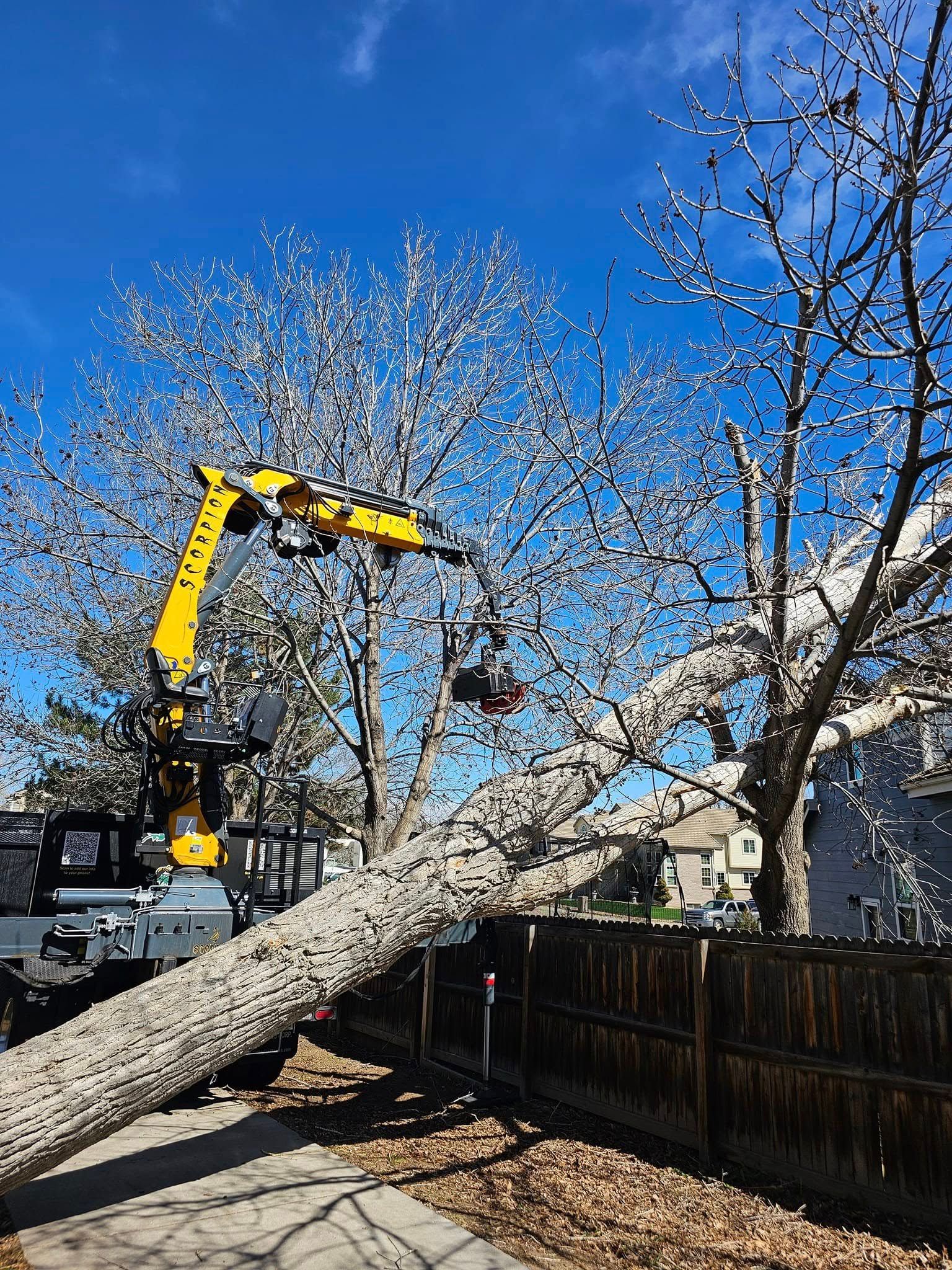 Yellow tree-cutting machine felling a tree next to a fence, on a sunny day.
