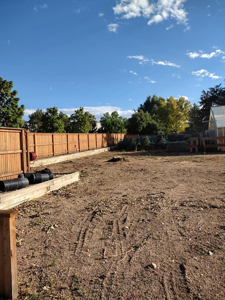 A bare dirt backyard with a wooden fence, bright blue sky, and a few trees.