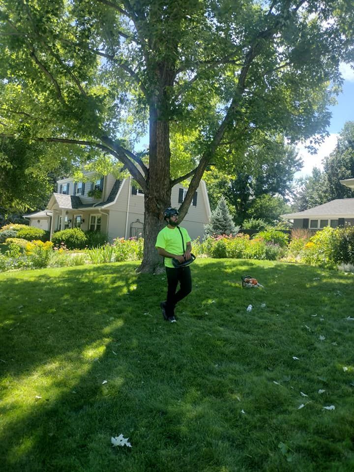 A man in a neon green shirt stands in a sunny yard near a tree, houses in the background.
