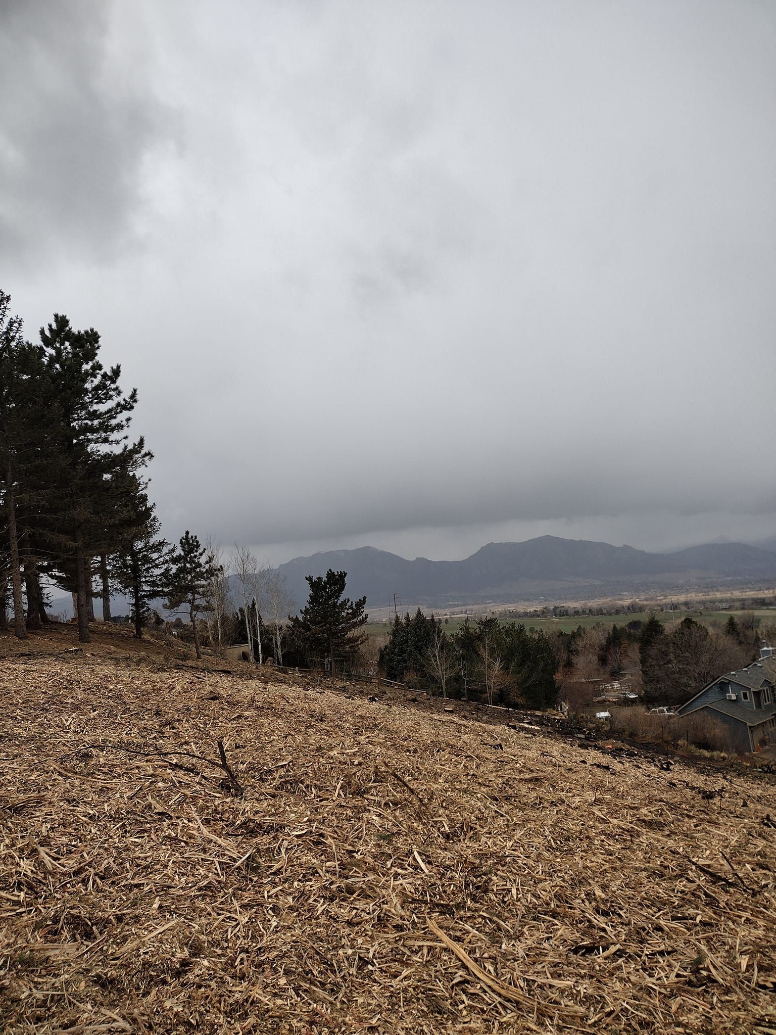 Overcast landscape with trees on a hill, overlooking a valley and distant mountains.
