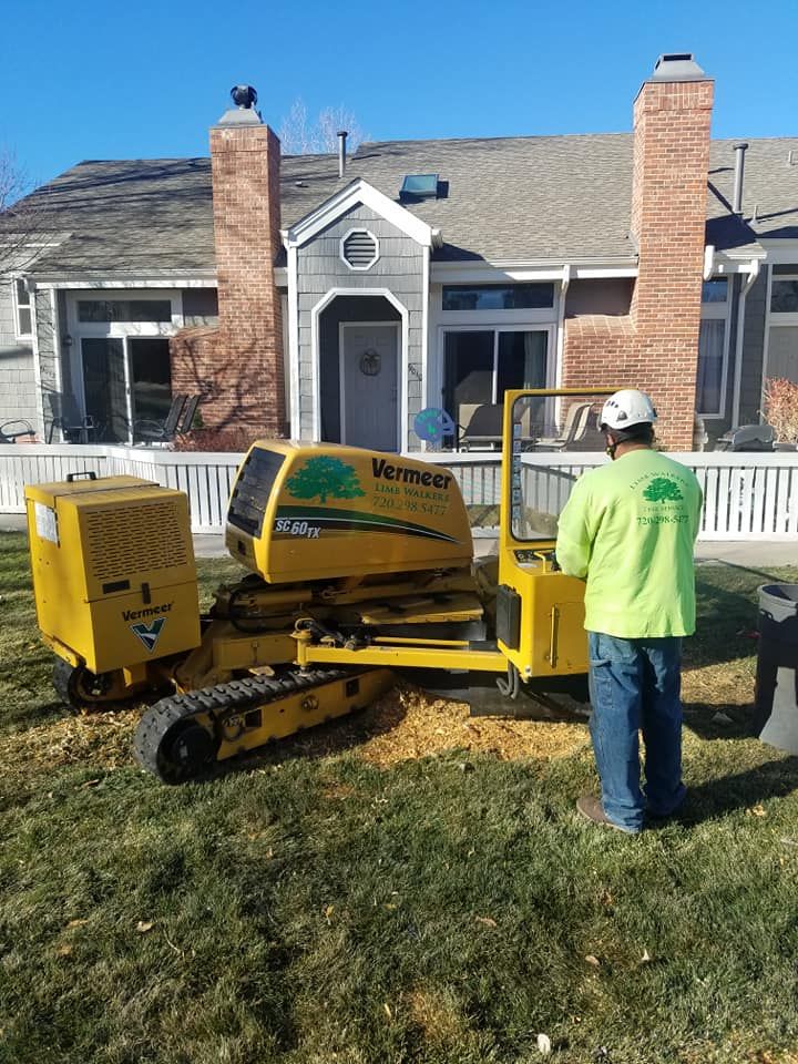 A worker operating a yellow stump grinder in a residential yard.