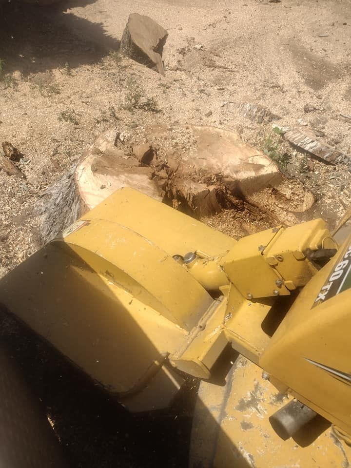 Yellow stump grinder next to a tree stump, wood chips scattered on the ground.