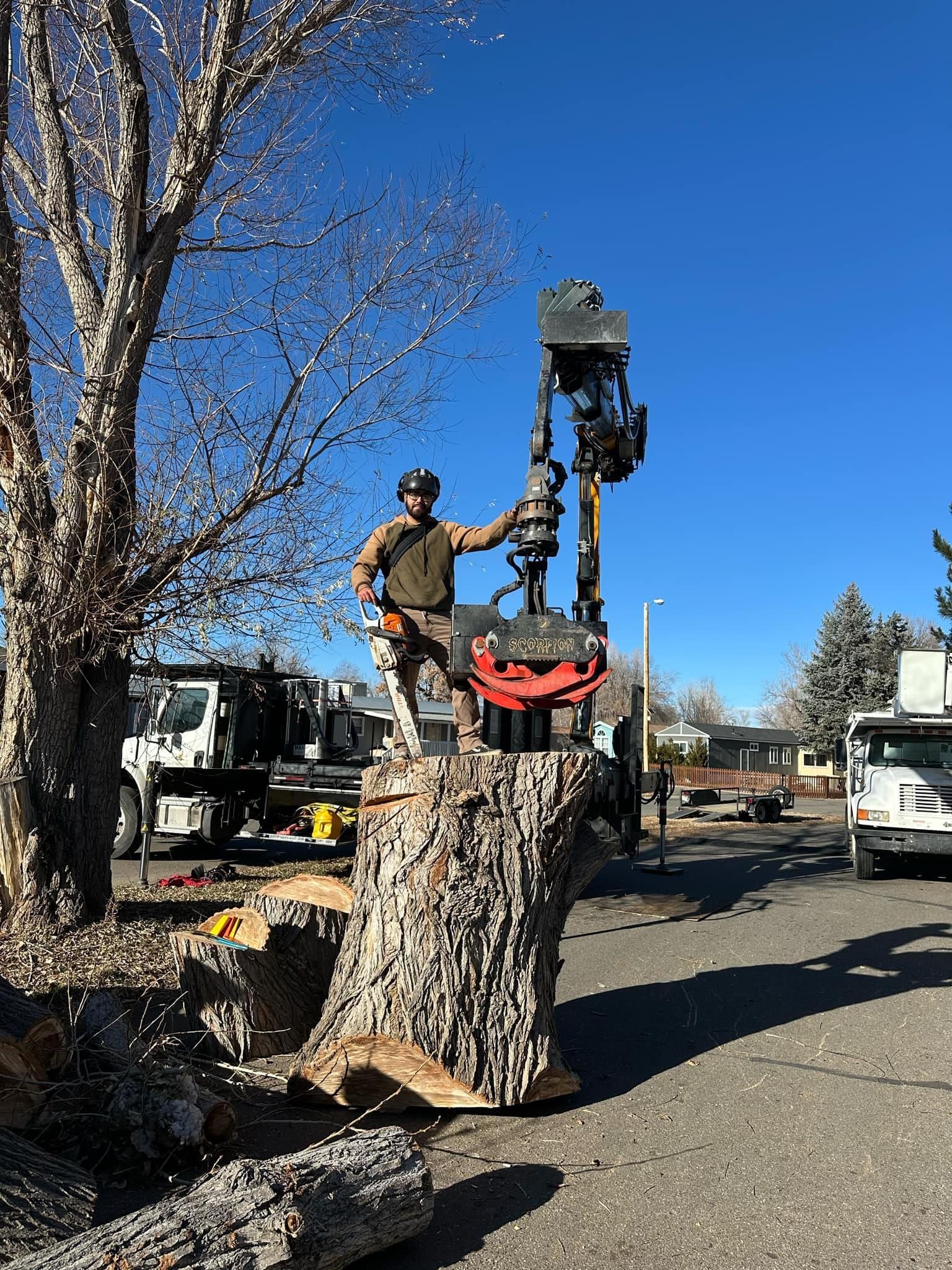 Arborist on a tree stump, operating machinery to remove branches; bright blue sky.