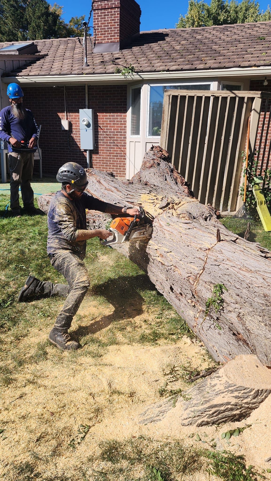 Man cutting a fallen tree trunk with a chainsaw; another person nearby. Sawdust on the ground. Backyard setting.
