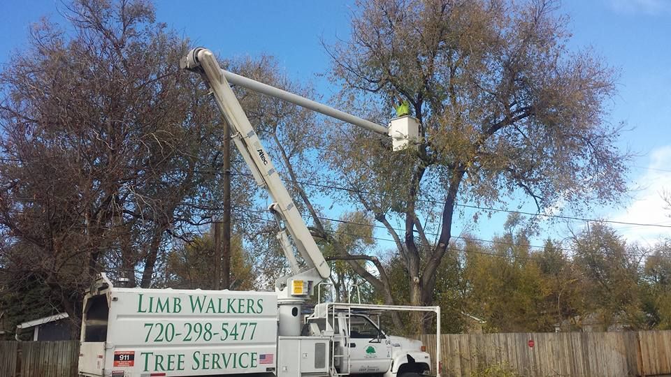 A tree service truck with its lift arm extended to a tree; worker in bucket, blue sky, and fence.