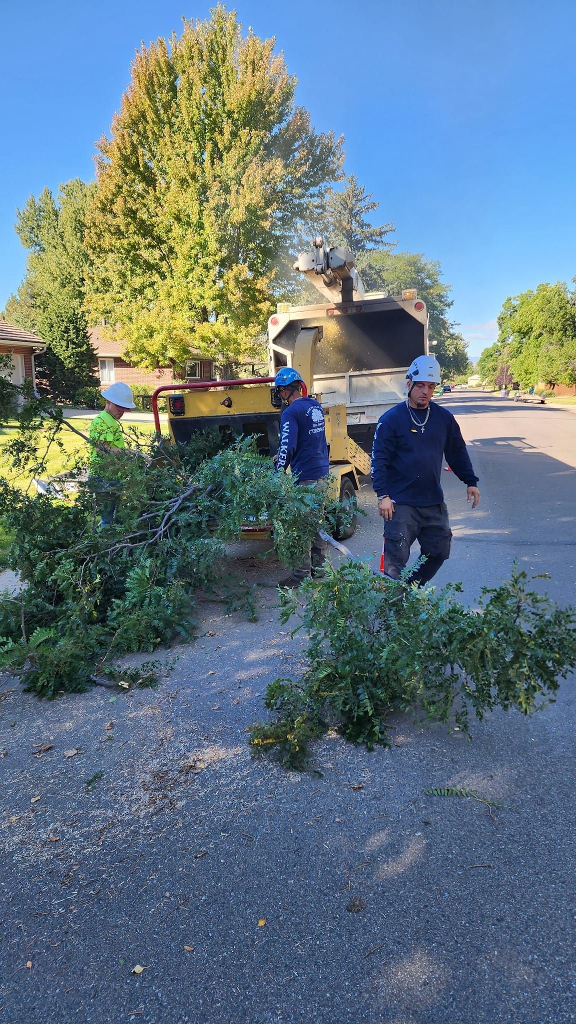 Two workers feed tree branches into a wood chipper on a street.