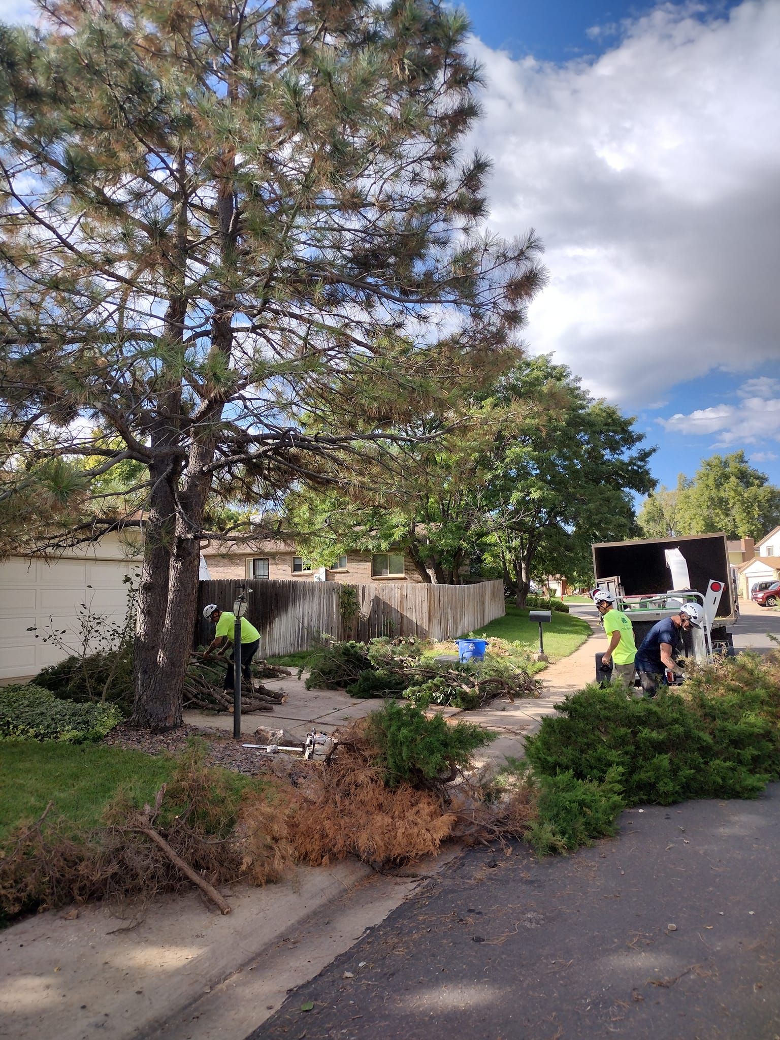 Tree removal crew cutting branches near a sidewalk and a residential home.