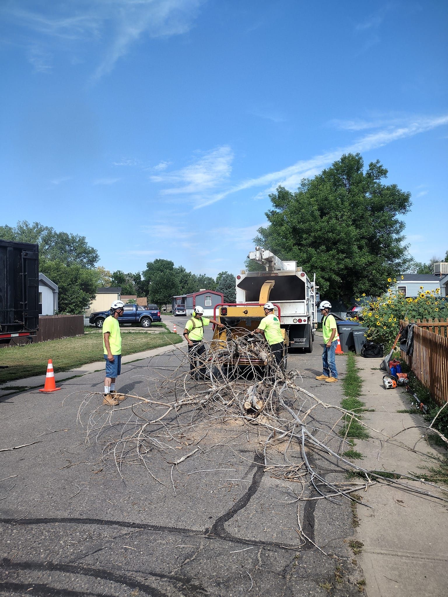 Road crew chipping branches on a sunny day. Workers in safety vests, tree chipper, blue sky.