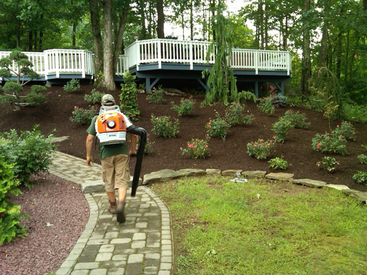 A man doing a landscape maintenance
