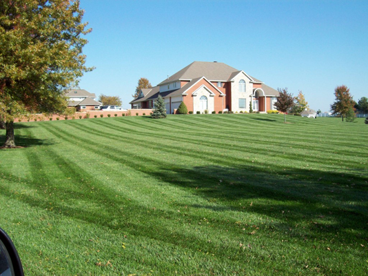 A very well maintained lawn