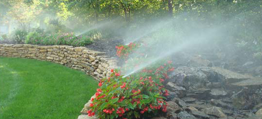 Water sprinklers for a garden