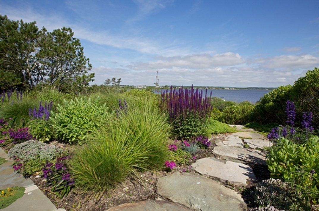 QAL Surroundings Images