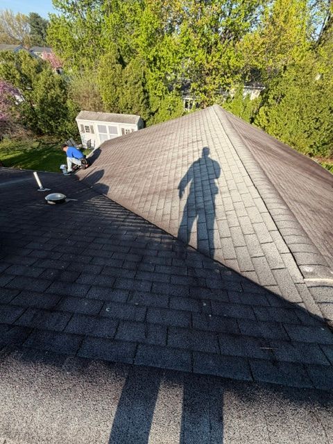 Rooftop with shingled sections, a person’s shadow, and trees in the background