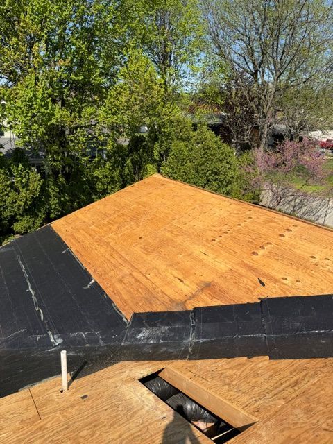 Wooden roof deck with black underlayment and a tree-lined yard in the background