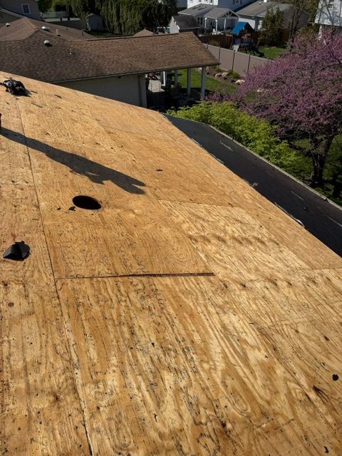 Roof under repair with plywood sheathing, vents, and a house and trees in the background.