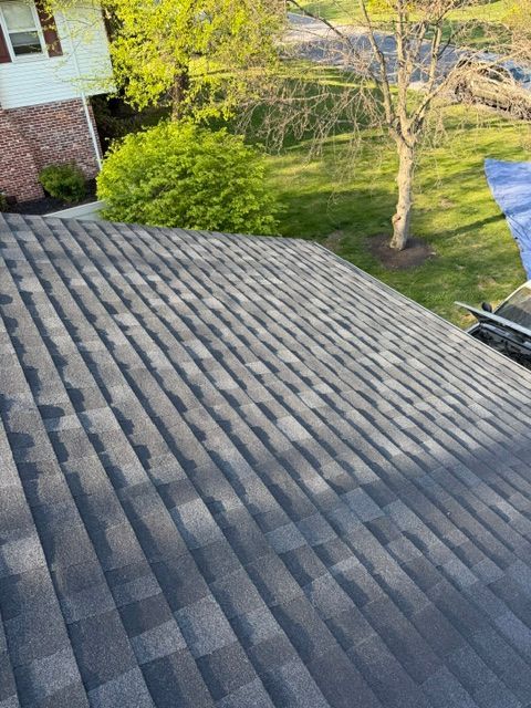 Roof shingles overlooking a yard with trees and a neighboring house