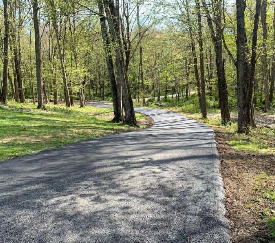 A road in the middle of a forest with trees on both sides.