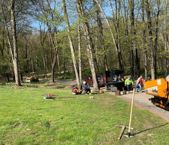 A group of people are working in a park.
