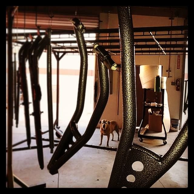 A dog is standing in a garage next to a bunch of metal pieces