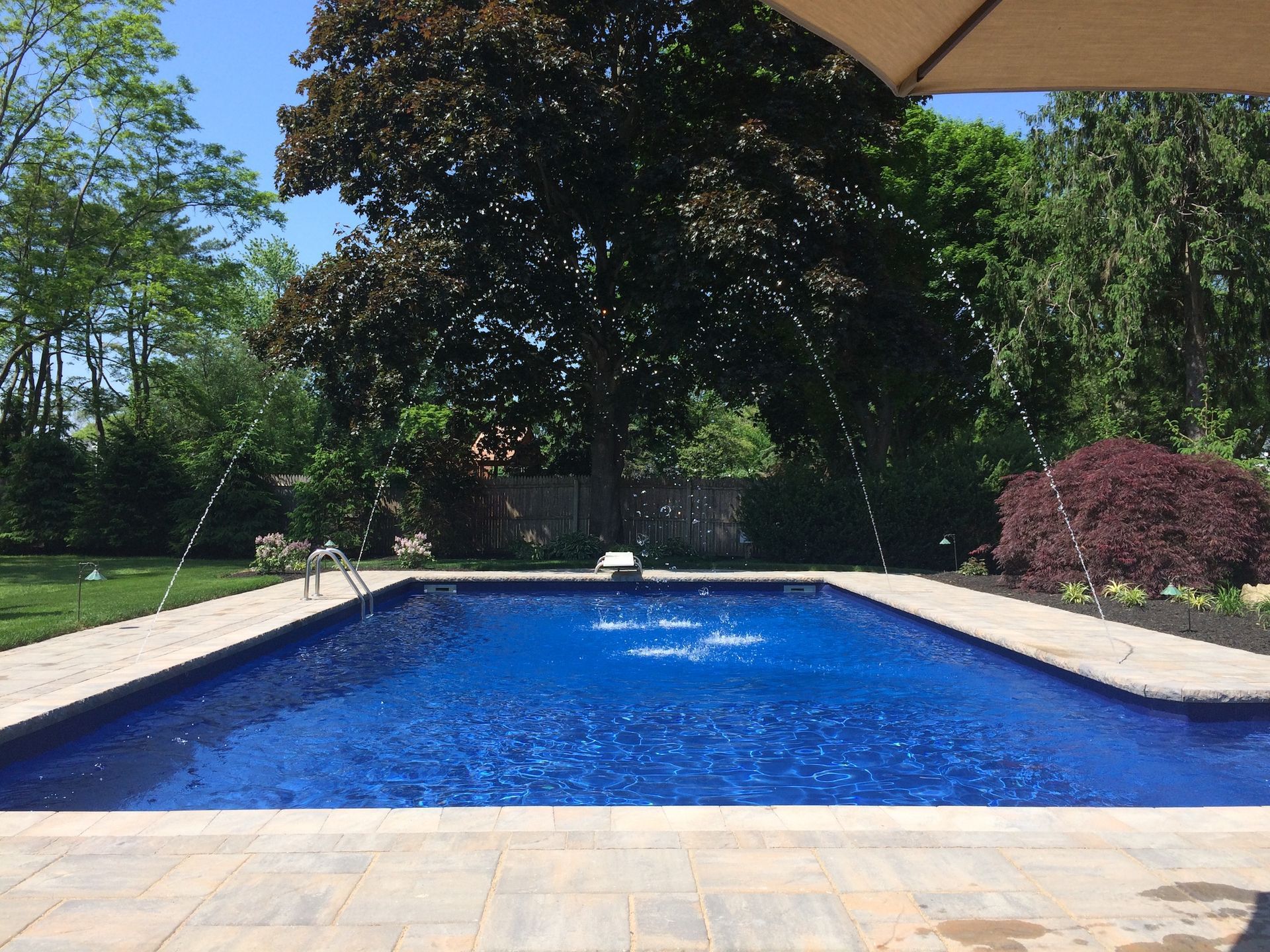 A large swimming pool with a tree in the background