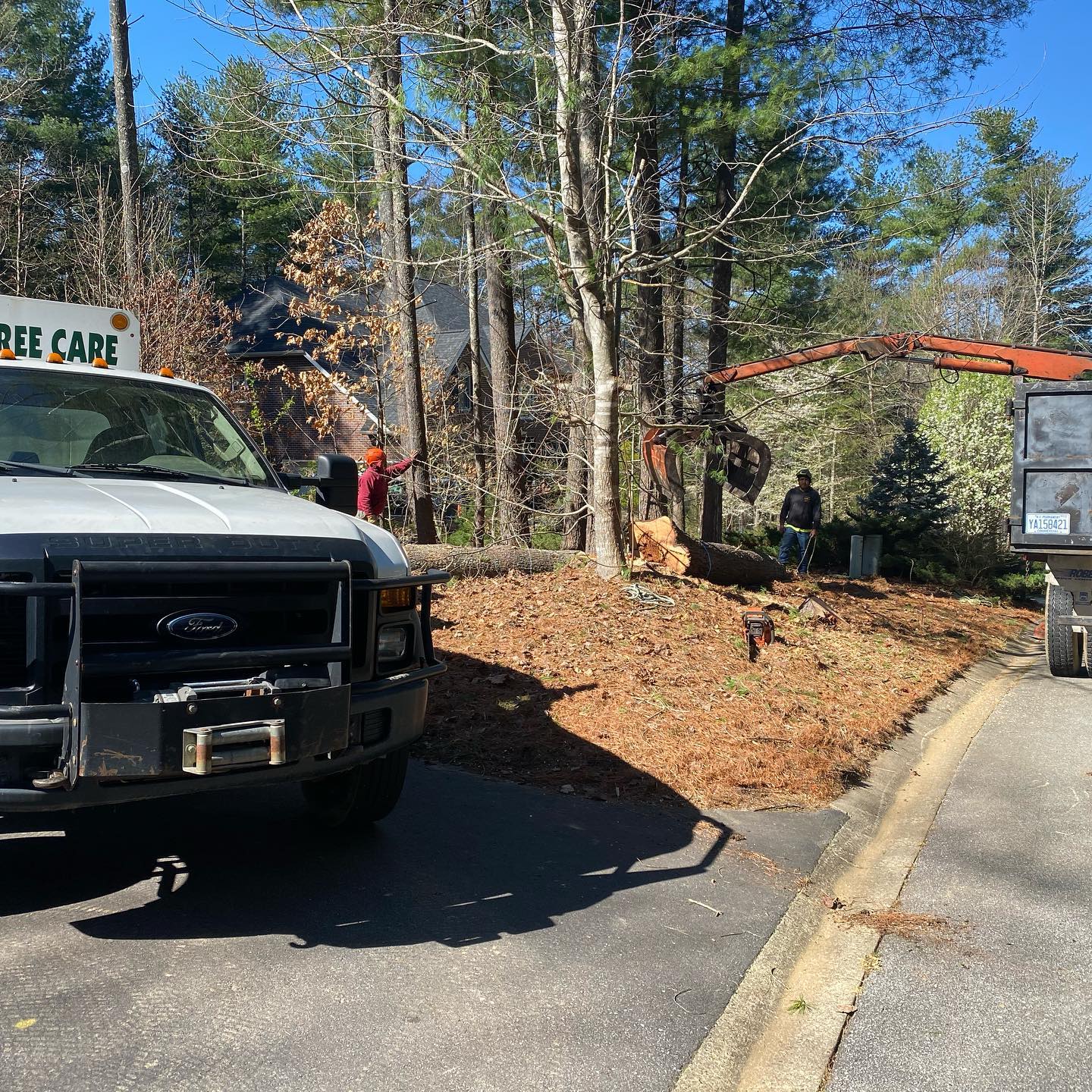 Affordable Tree Care Photo Gallery Burnsville, NC
