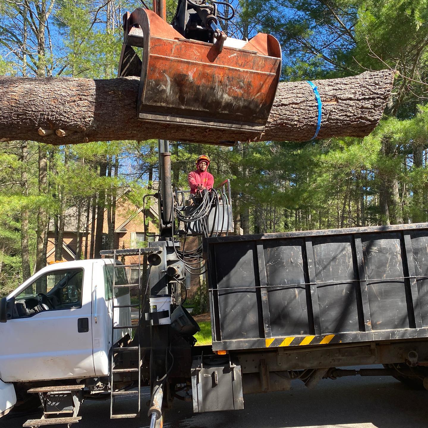 Affordable Tree Care Photo Gallery Burnsville, NC