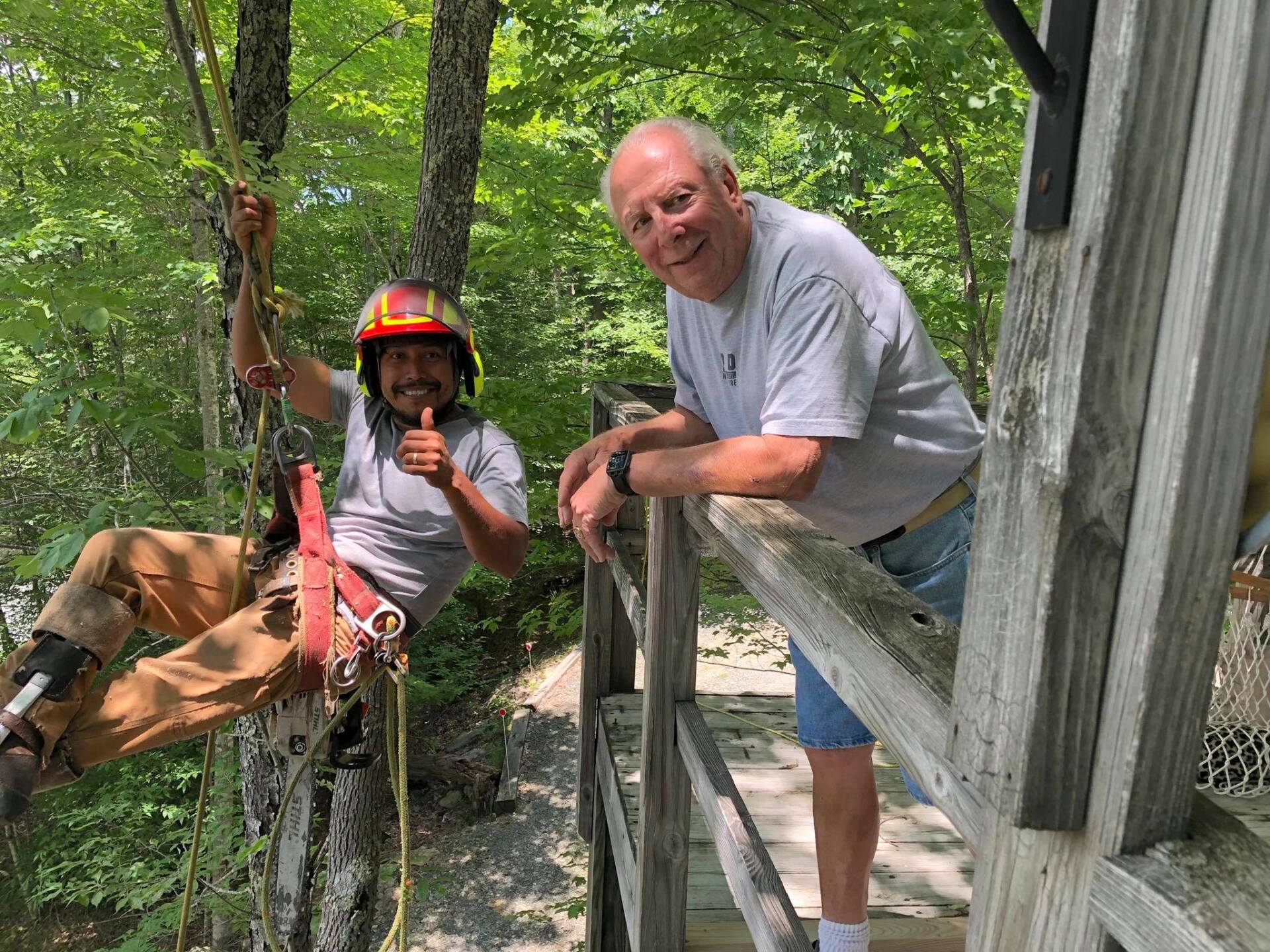 Affordable Tree Care Photo Gallery Burnsville, NC