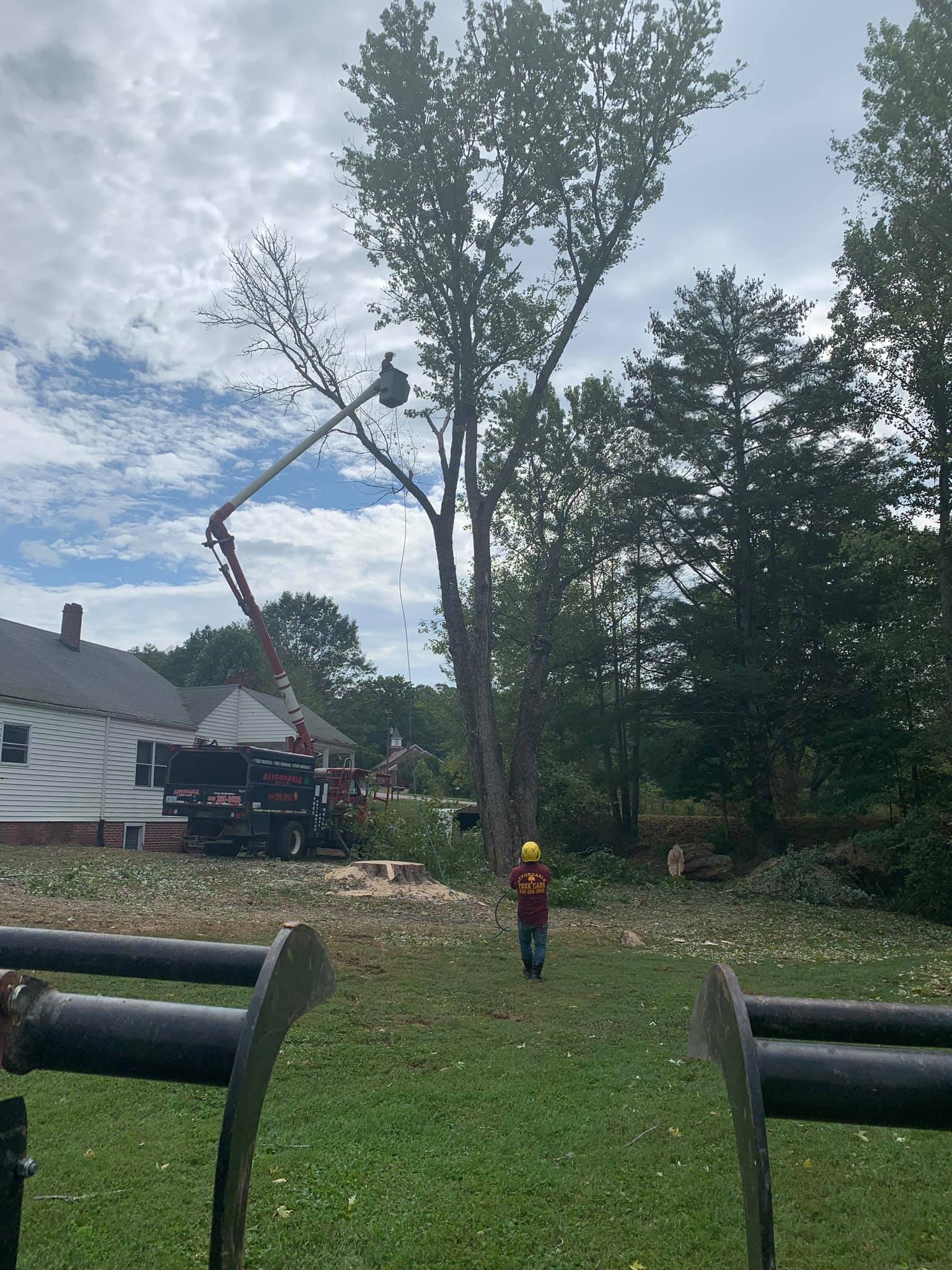 Tree Service