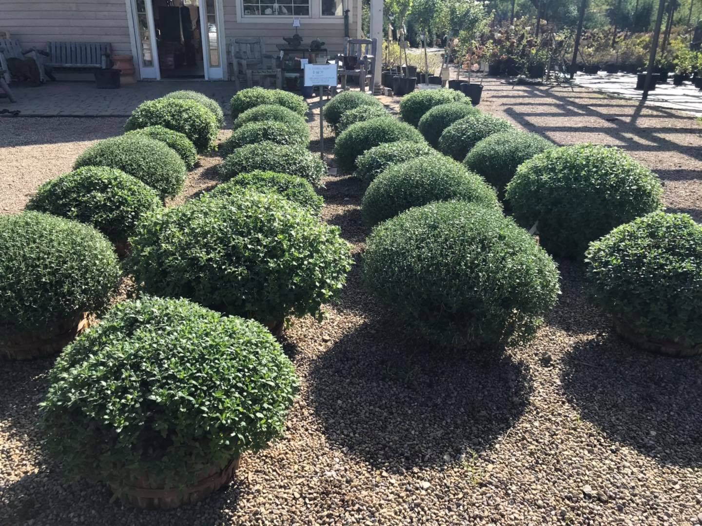 Small's Garden Center image