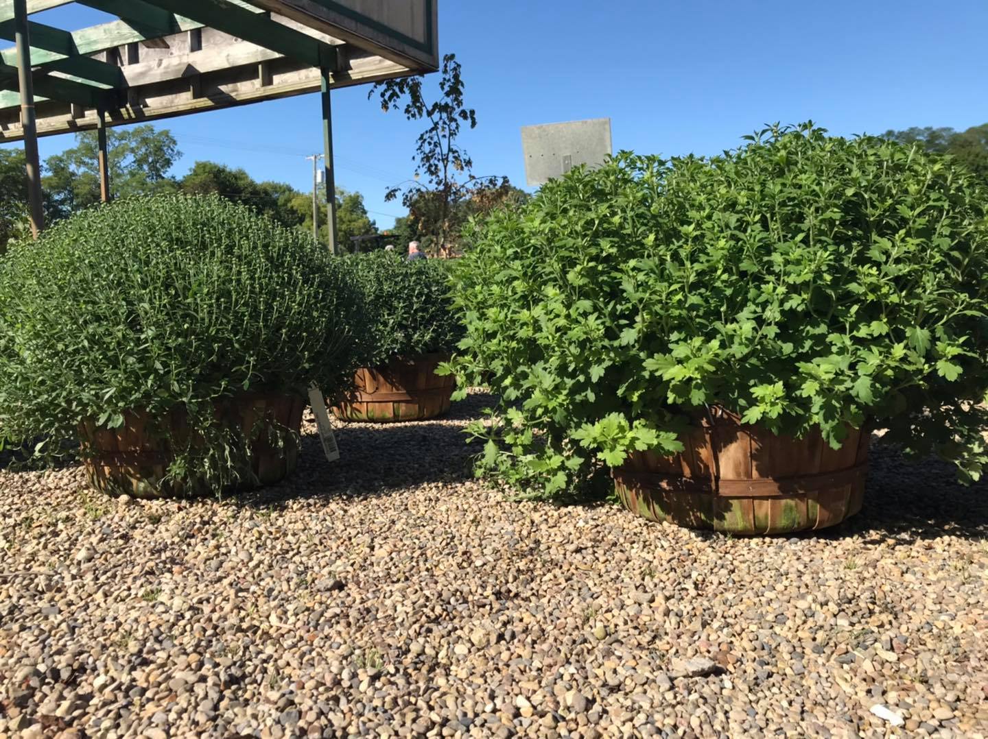 Small's Garden Center image