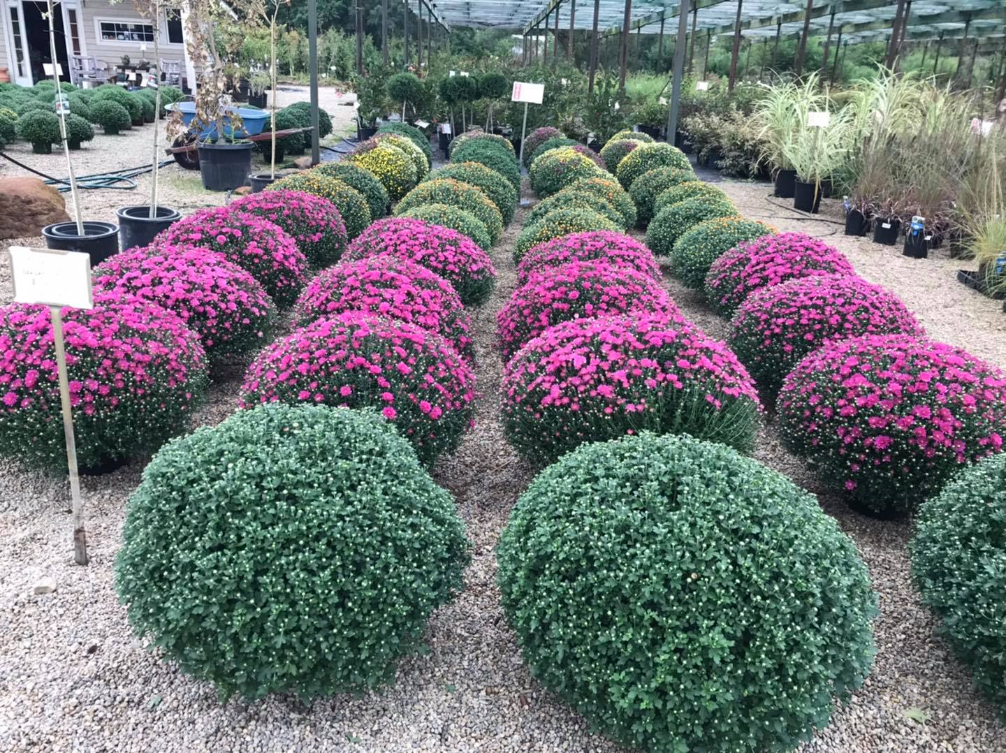 Small's Garden Center image