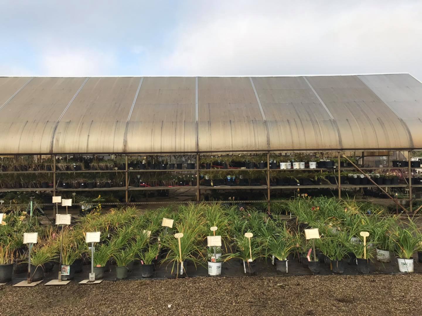 Small's Garden Center image