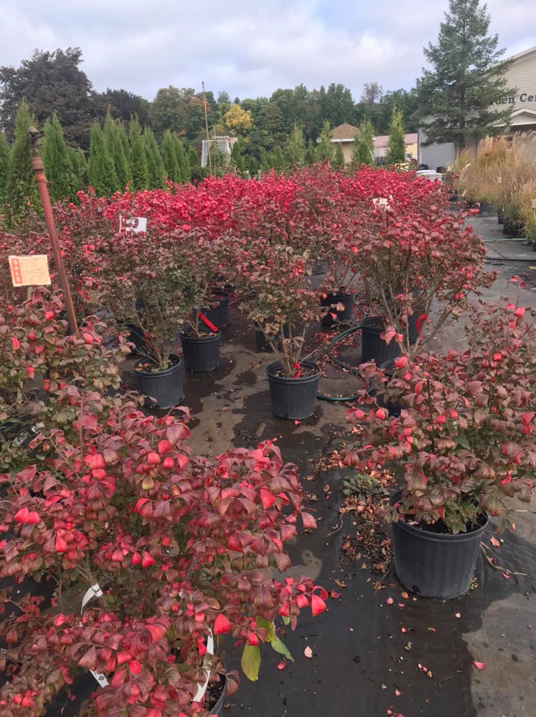 Small's Garden Center image