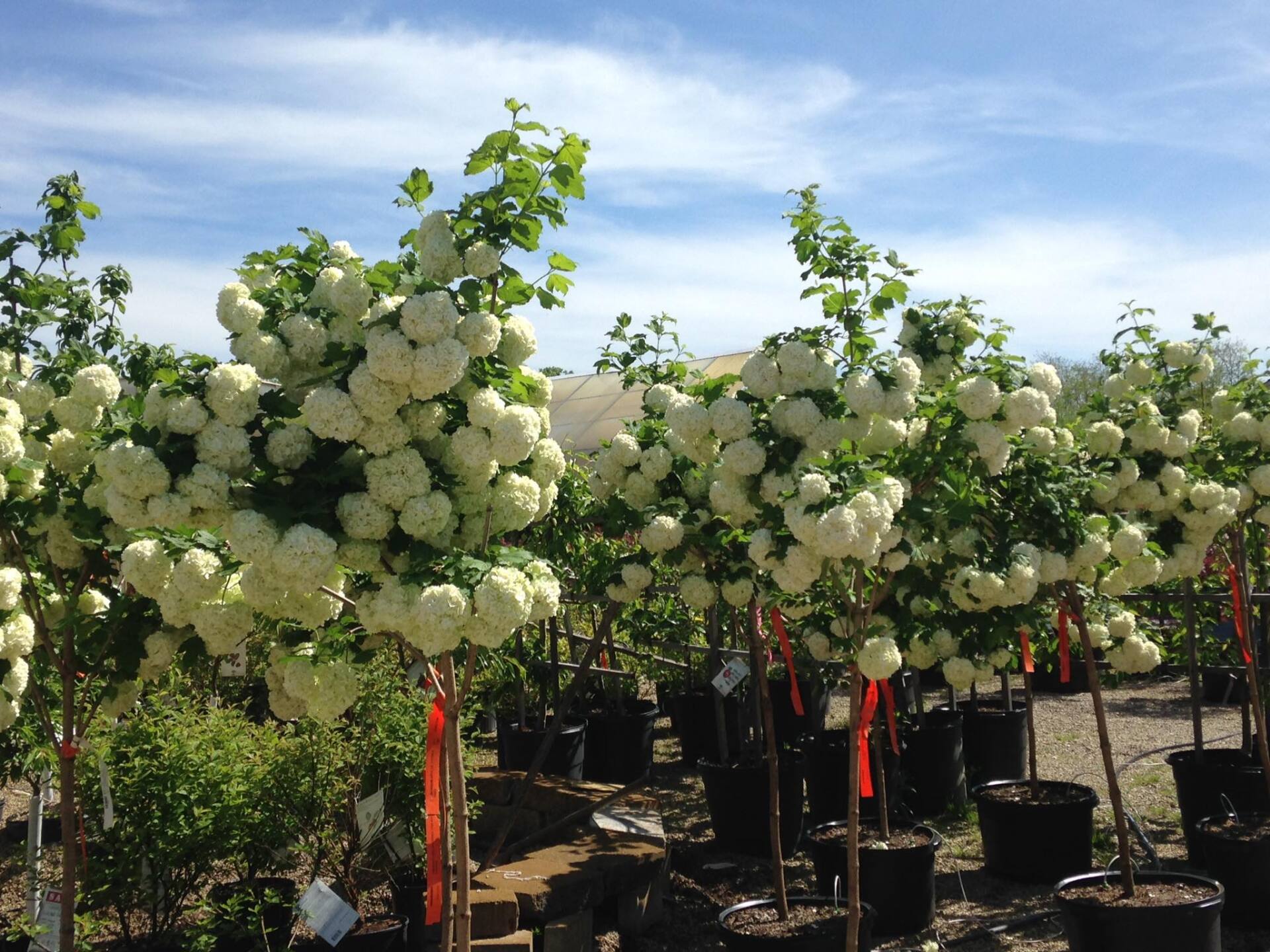 Small's Garden Center image